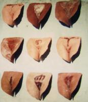 Arte Pará - Impressões sobre minha Vagina. Exposição Coletiva - Museu do Estado do Pará - Belém, PA